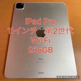 Apple iPad Pro 11インチ 第2世代 256GB 本体